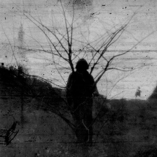 . cover art