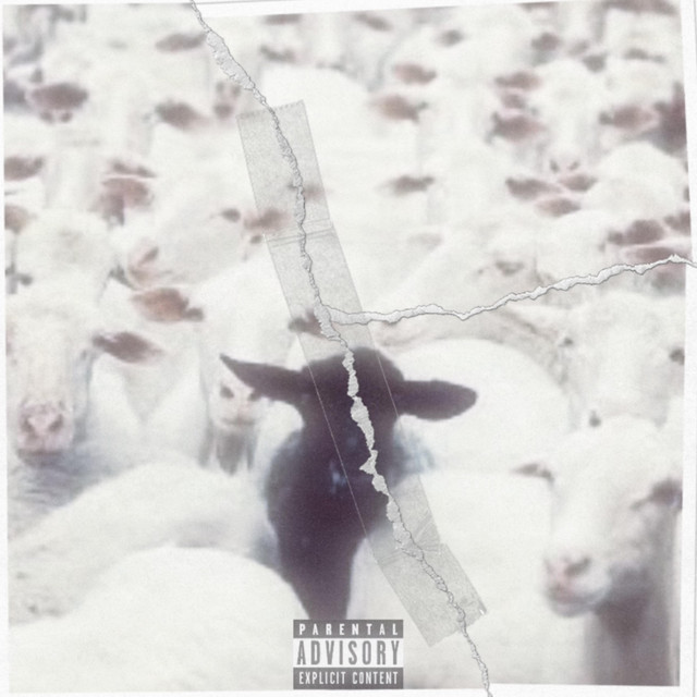 The Black Sheep cover art