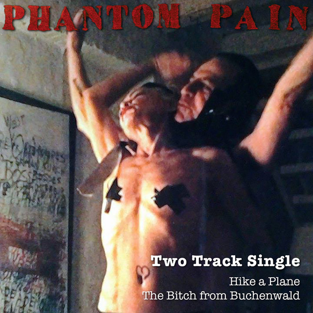 Phantom Pain