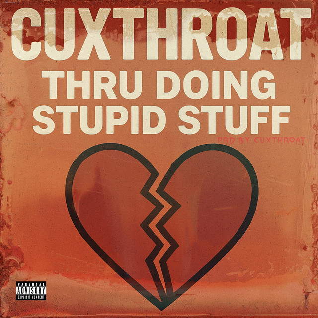 Thru Doing Stupid Stuff