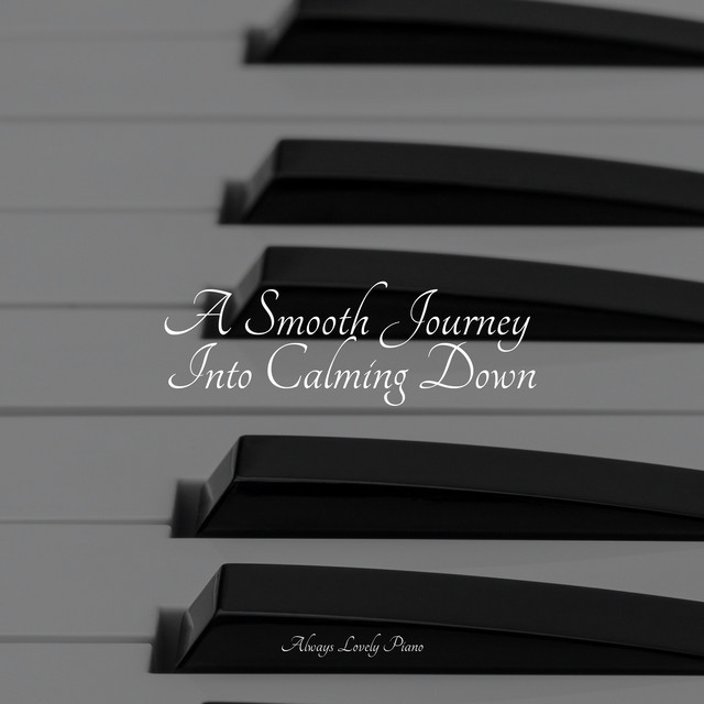 Soft Music for a Peaceful & Chill Ambience album image