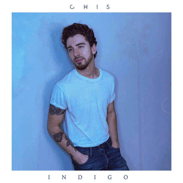Indigo cover art