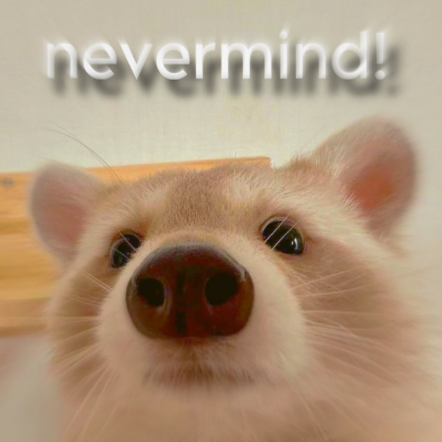 nevermind! cover art