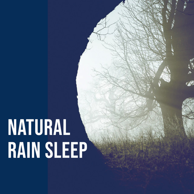 Natural Rain Sleep - Album by Natural Rain Sounds for Sleeping | Spotify