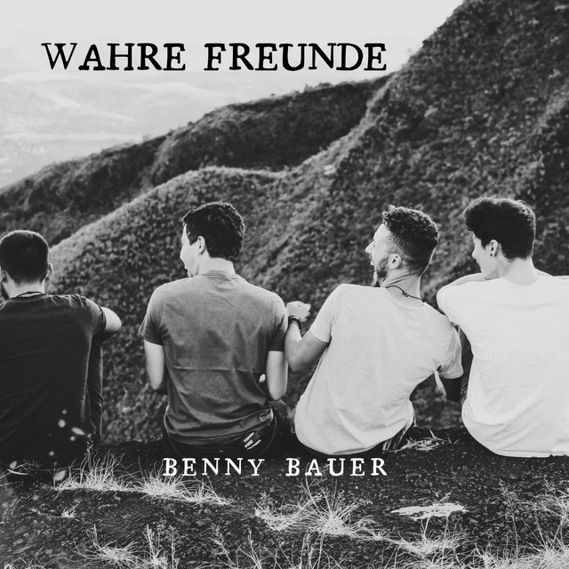 Wahre Freunde cover