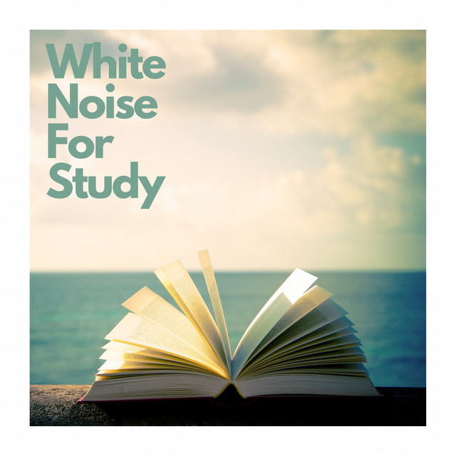 White Noise For Study cover art