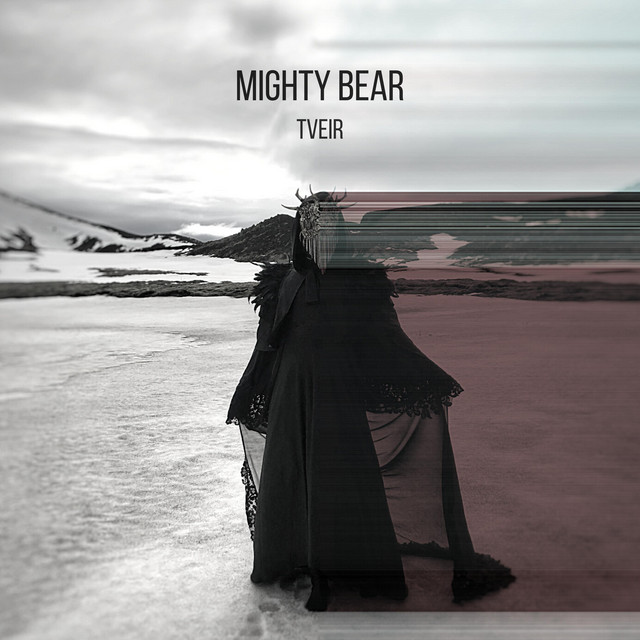 Tveir cover art