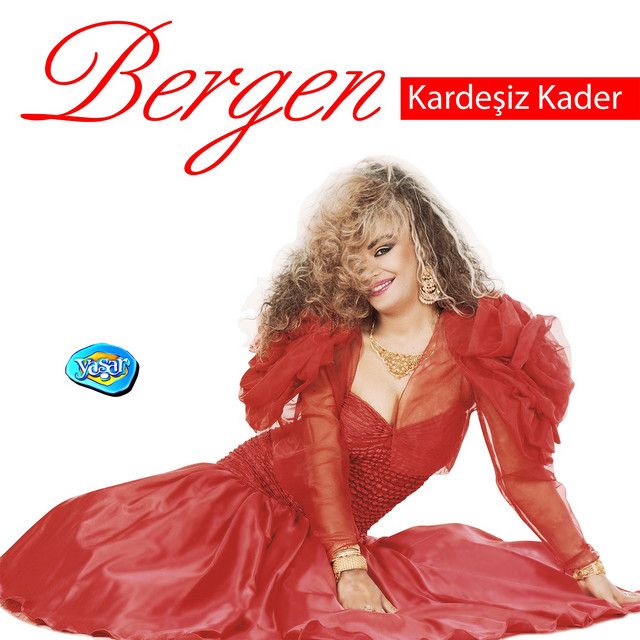 Kardeşiz Kader cover art