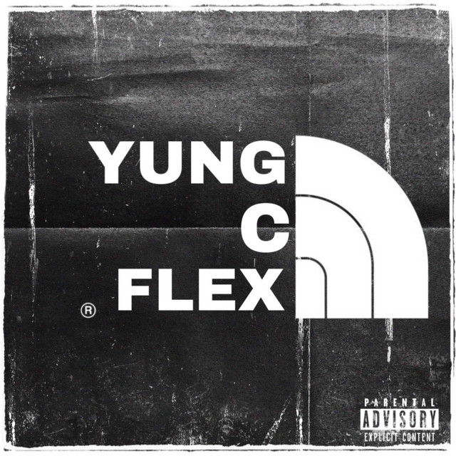 Flex cover art