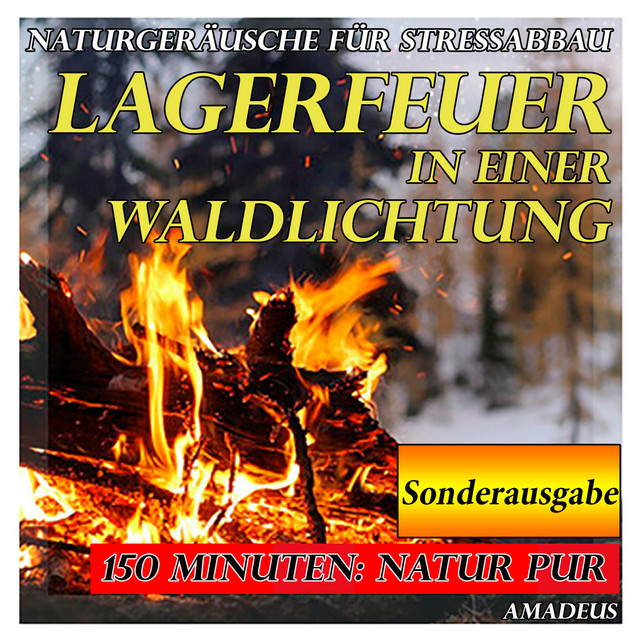 Naturgeräusche für Stressabbau: Lagerfeuer in einer Waldlichtung: Sonderausgabe cover art