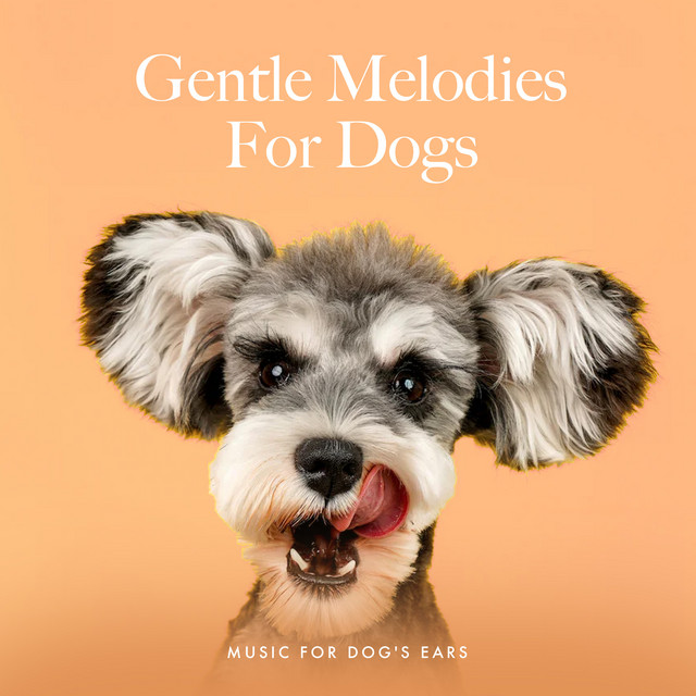 Gentle Melodies For Dogs - Album by Music for Dog's Ears | Spotify
