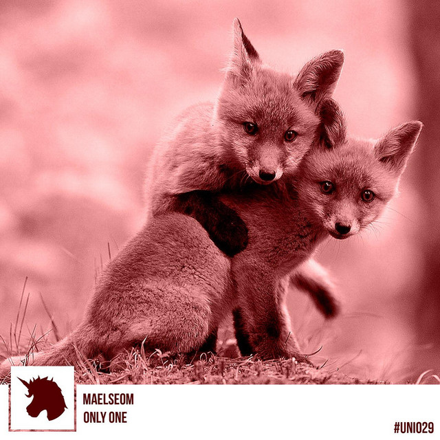 Only One cover art
