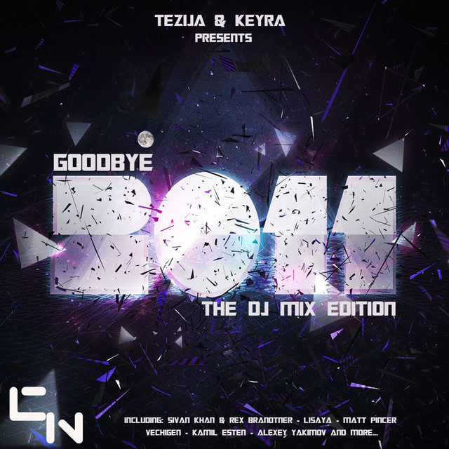 Goodbye 2011 (The DJ Mix Edition) cover