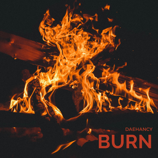 BURN cover art