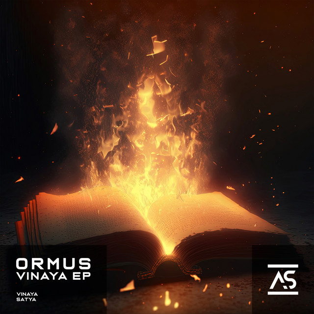 Vinaya - Extended Mix album art