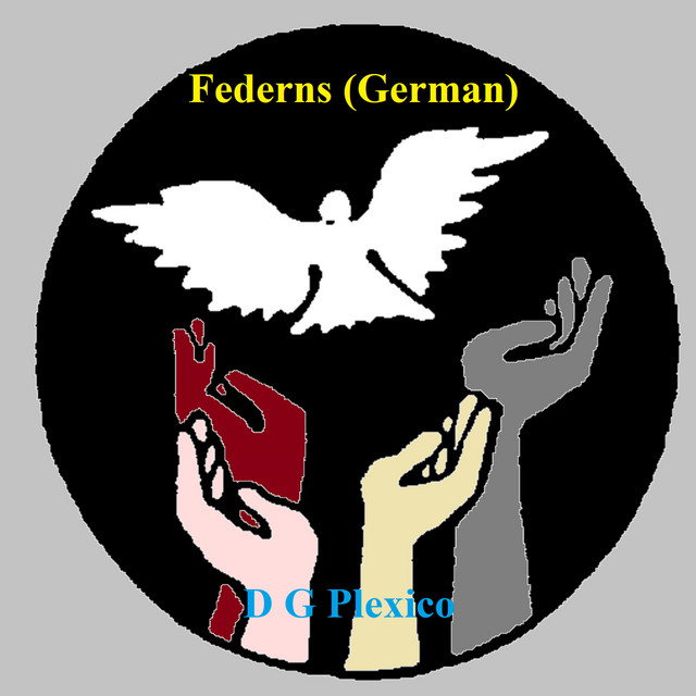 D G Plexico – Federns