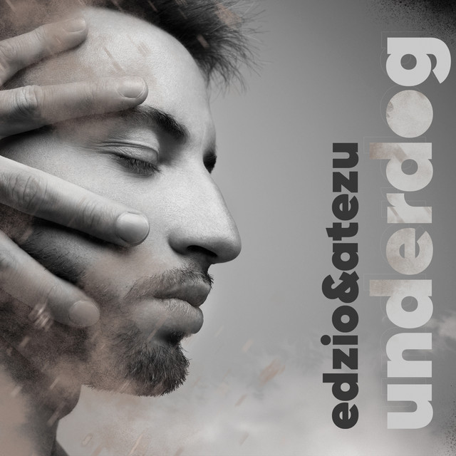 Underdog cover art
