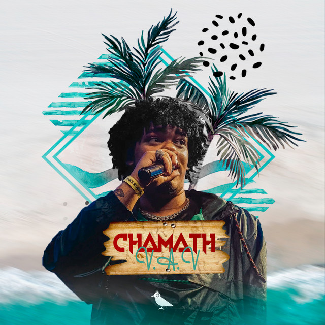 V. A. V cover art