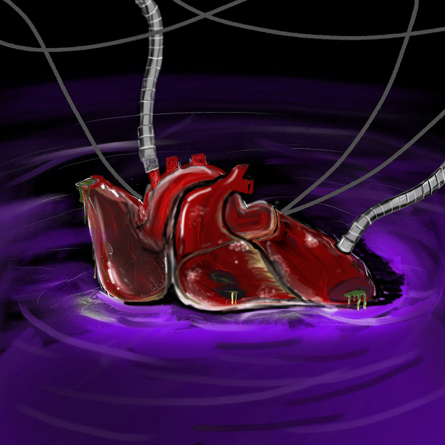 56 cover art