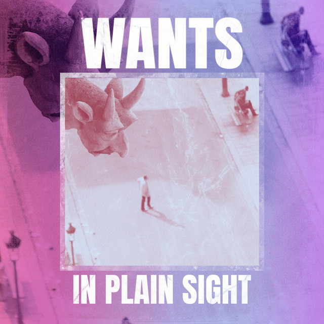 In Plain Sight cover art