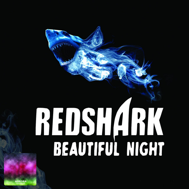 Beautiful Night - DJ Thomass Remix cover art