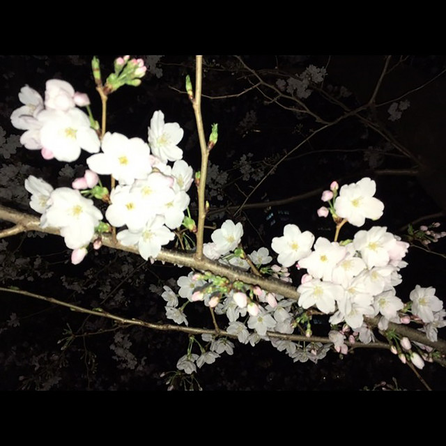 ラブソング Song And Lyrics By 小山空良 Spotify