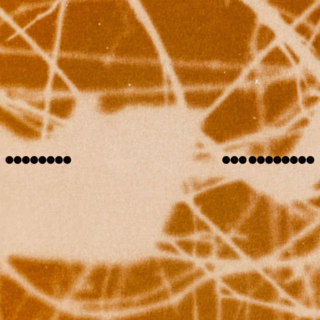 Cover art for 58918012 — One Question