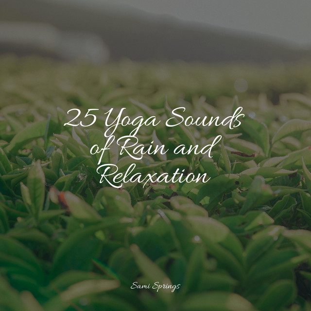 25 Yoga Sounds of Rain and Relaxation - Album by ASMR Sleep Sounds ...
