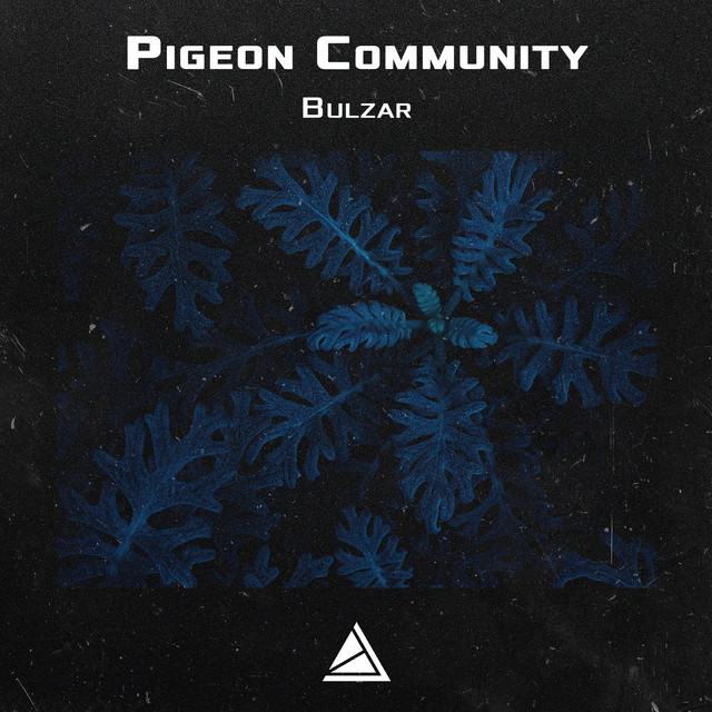 Bulzar - Single by Pigeon Community | Spotify