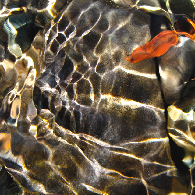 Reliquias Cáusticas cover art