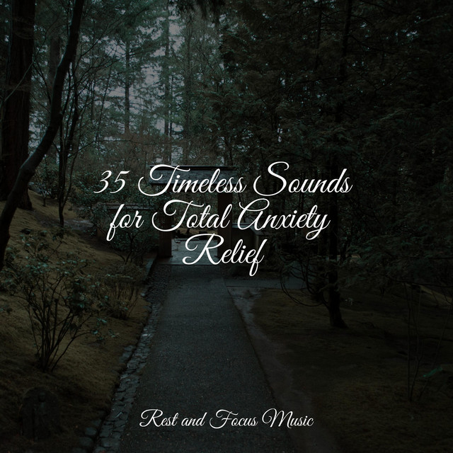 35 Timeless Sounds for Total Anxiety Relief - Album by Kinderlieder ...