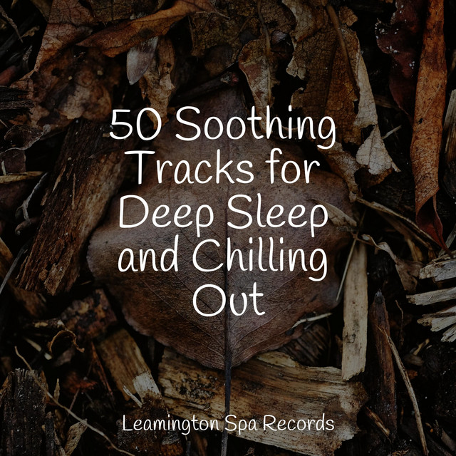 50 Soothing Tracks for Deep Sleep and Chilling Out - Album by Deep ...