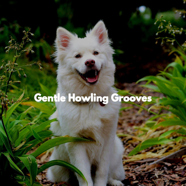 Gentle Howling Grooves - Album by Musica para Perros | Spotify
