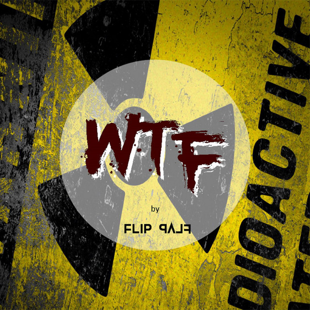 FLIP-FLAP Photo