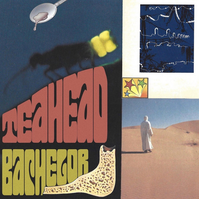 Bachelor cover art