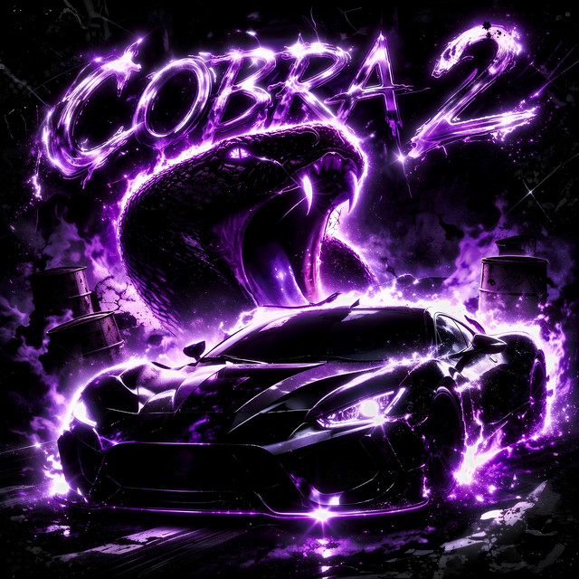 COBRA 2