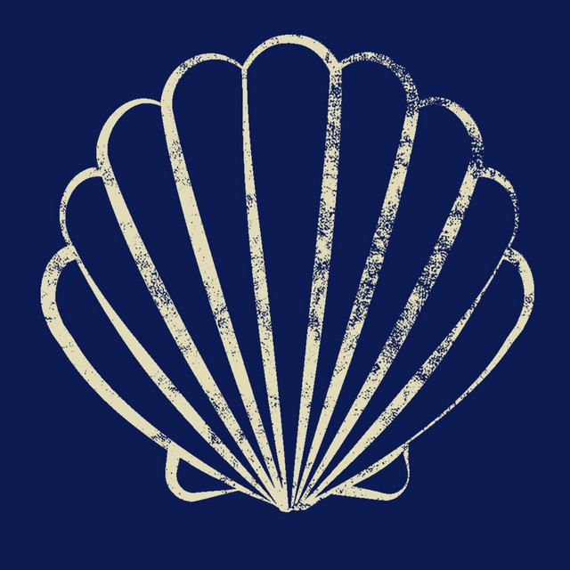 Seashells cover art