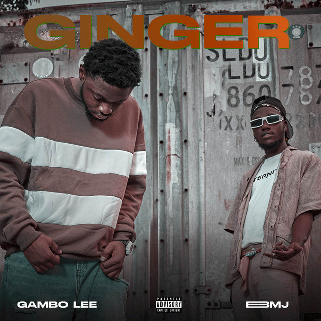 Ginger cover art