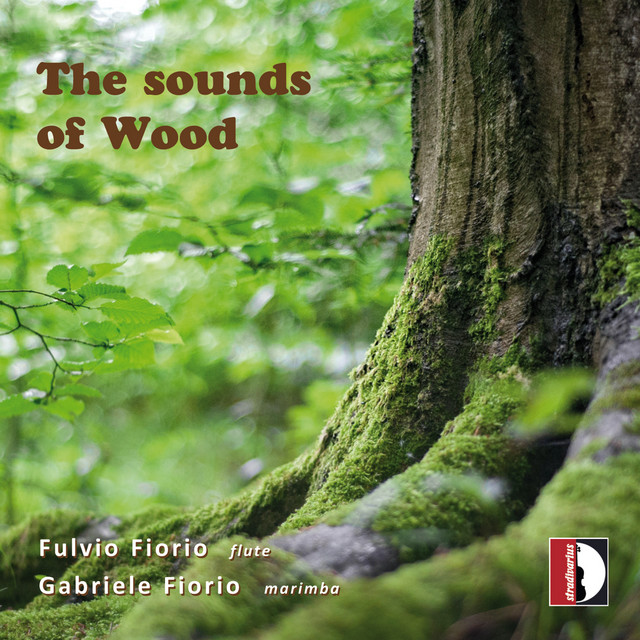 The Sounds of Wood