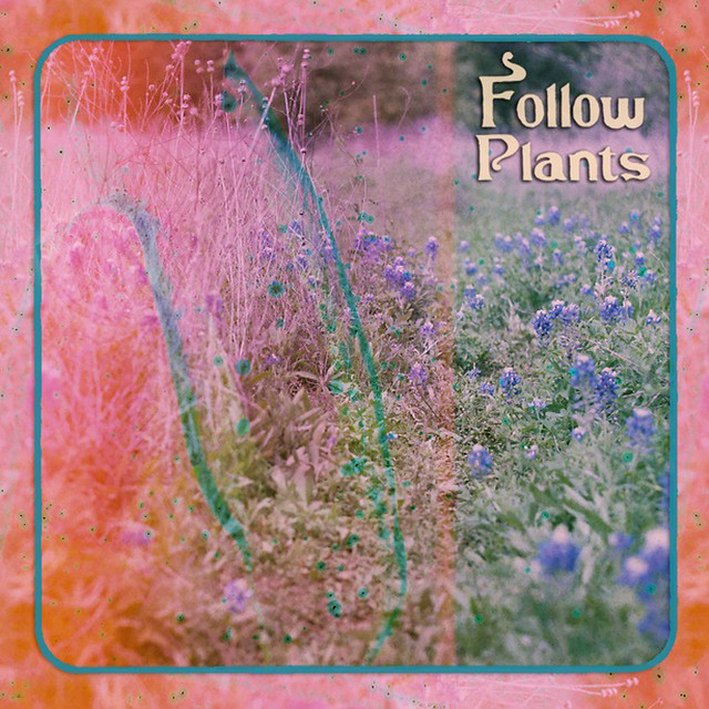 Follow Plants cover art