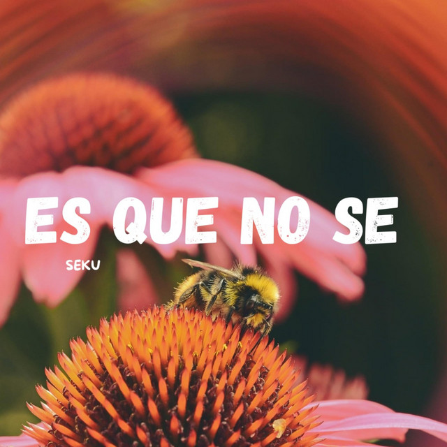 es que no se cover