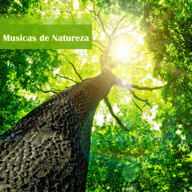 Musicas da Natureza - Musicas Relaxantes para Dormir com Som de Passaros, Sons da Chuva e de Agua cover art