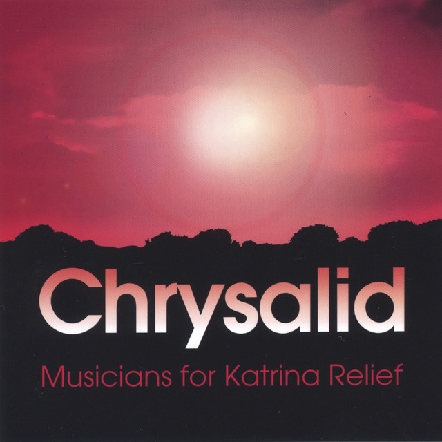 Musicians for Katrina Relief cover