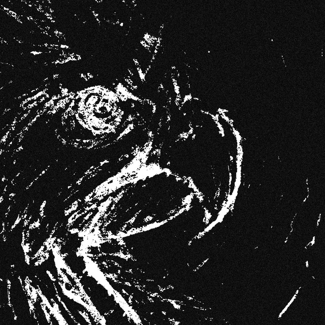 Parrots cover art