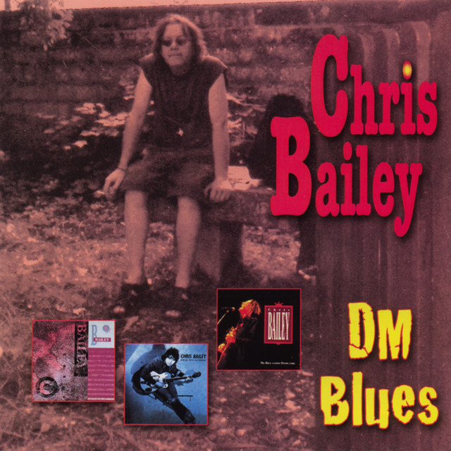 Dm blues - vol. 2 cover art