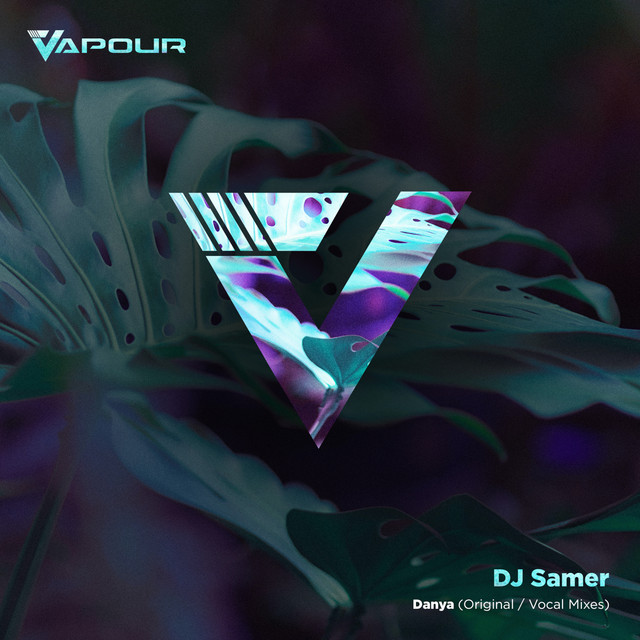 Danya - Vocal Mix album art
