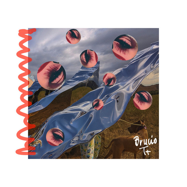 BRUCIOTT cover art
