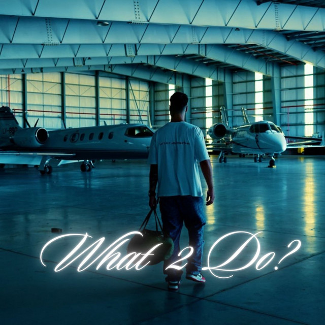 WHAT2DO? cover art
