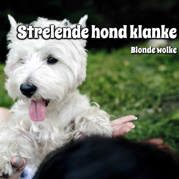 Strelende hond klanke cover art