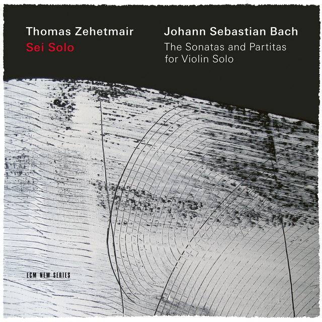 J.S. Bach: Partita for Violin Solo No. 1 in B Minor, BWV 1002: 1. Allemanda